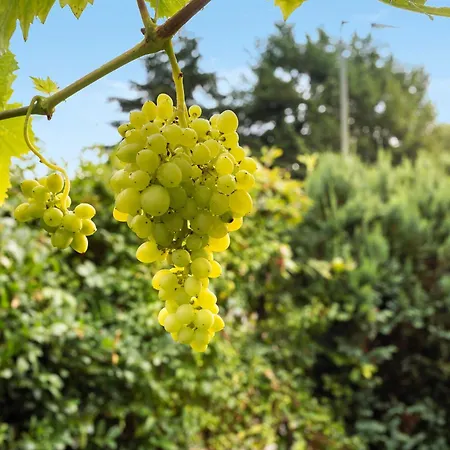 Kuhlmann Apartmán Lennestadt