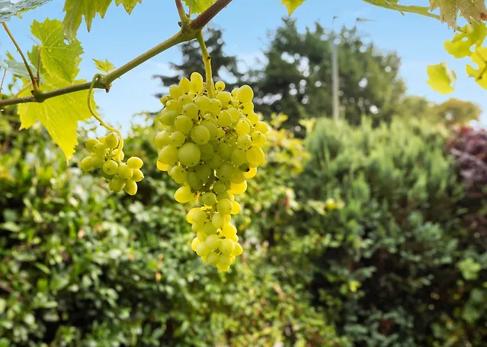 Kuhlmann Lejlighed Lennestadt